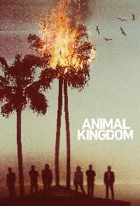 Animal Kingdom